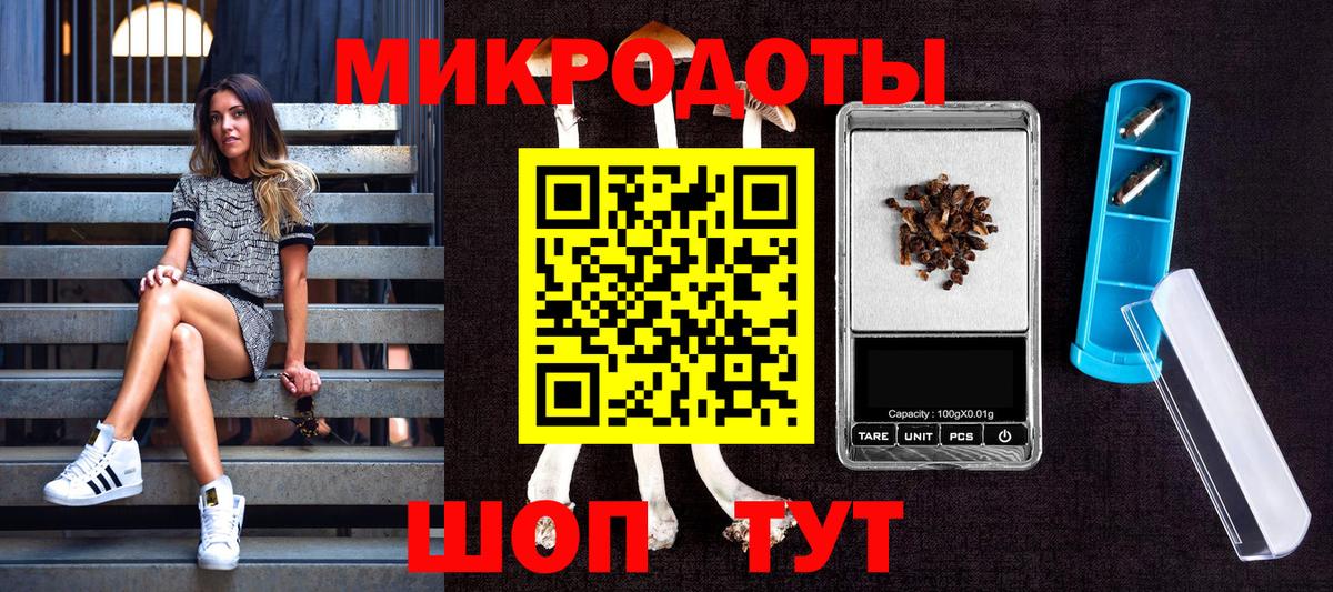 Мурманск  Псилоцибиновые грибы мицелий  Вход с VPN 